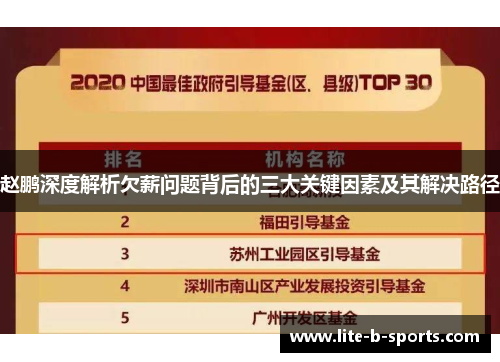 赵鹏深度解析欠薪问题背后的三大关键因素及其解决路径