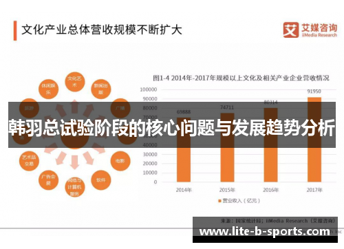 韩羽总试验阶段的核心问题与发展趋势分析