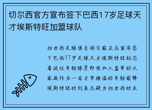 切尔西官方宣布签下巴西17岁足球天才埃斯特旺加盟球队